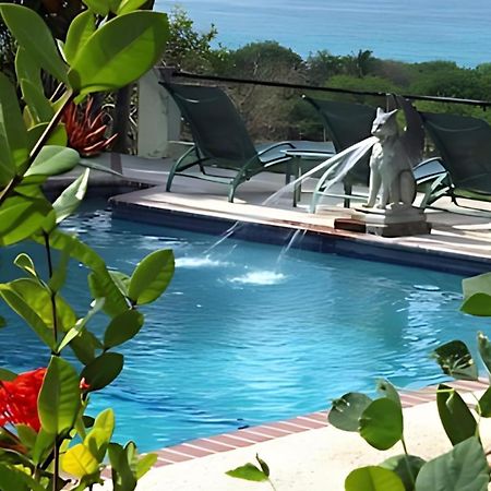 Отель Hacienda Tamarindo Вьекес Экстерьер фото